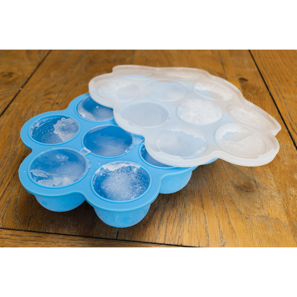 Callowesse Silicone Food Portion Storage Container & Lid – Blue