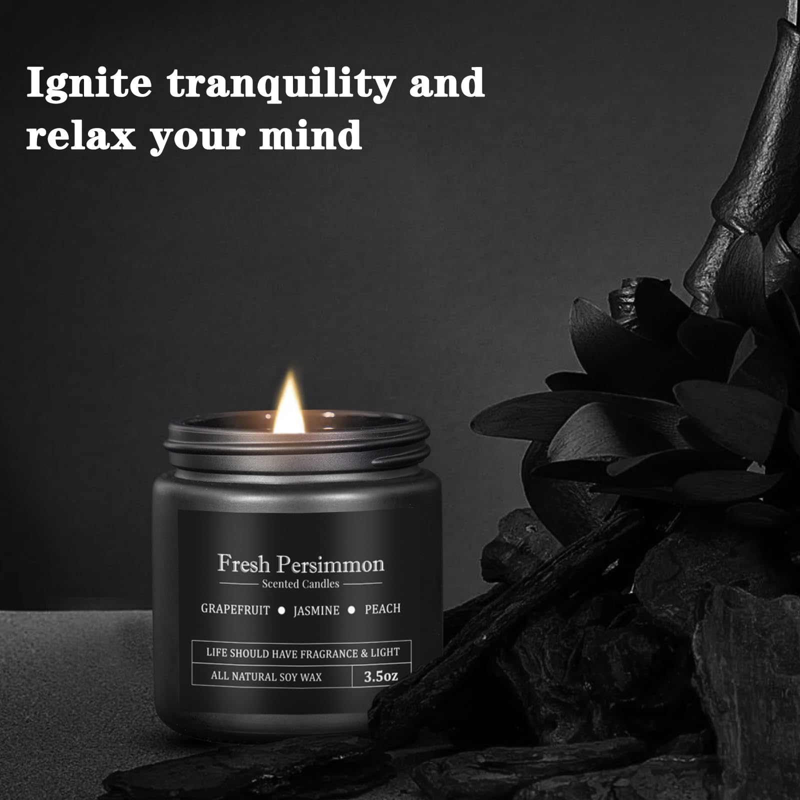 10 Pack Scented Candles for Men – Masculine Gift Set | Aromatherapy, Soy Wax, Cotton Wick