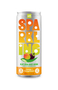 ALO Sparkling with Mango & Mangosteen juice  - 330ml