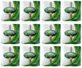 12 x Gentille Kitchen Towel 2 Roll
