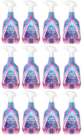 12 x Astonish Oxy Active Fabric Stain Remover - 750Ml