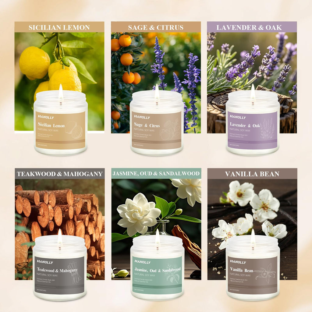 12 Pack Natural Soy Candles Gift Set – Aromatherapy Home Scents (Lavender, Vanilla, Rose & Eucalyptus)