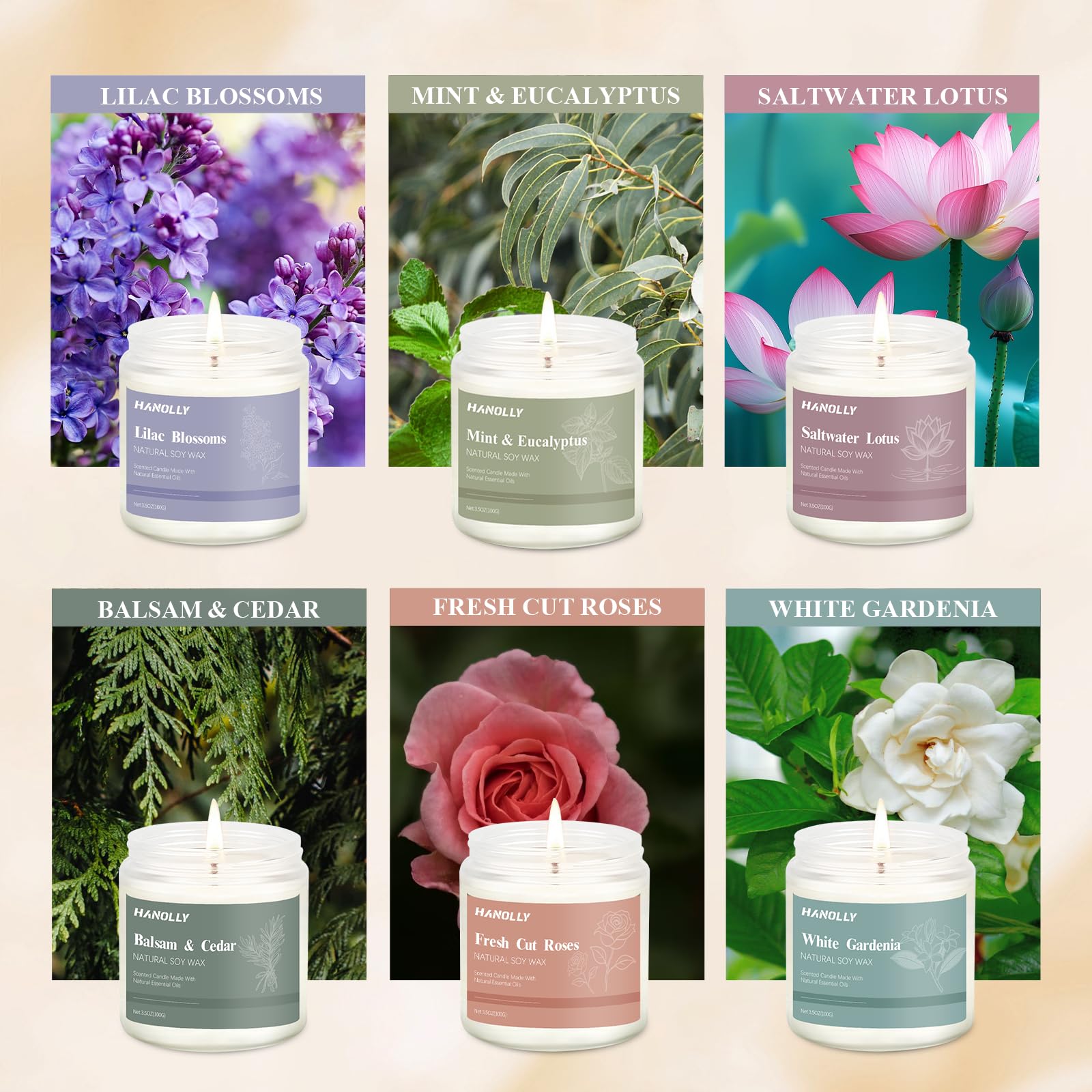 12 Pack Natural Soy Candles Gift Set – Aromatherapy Home Scents (Lavender, Vanilla, Rose & Eucalyptus)