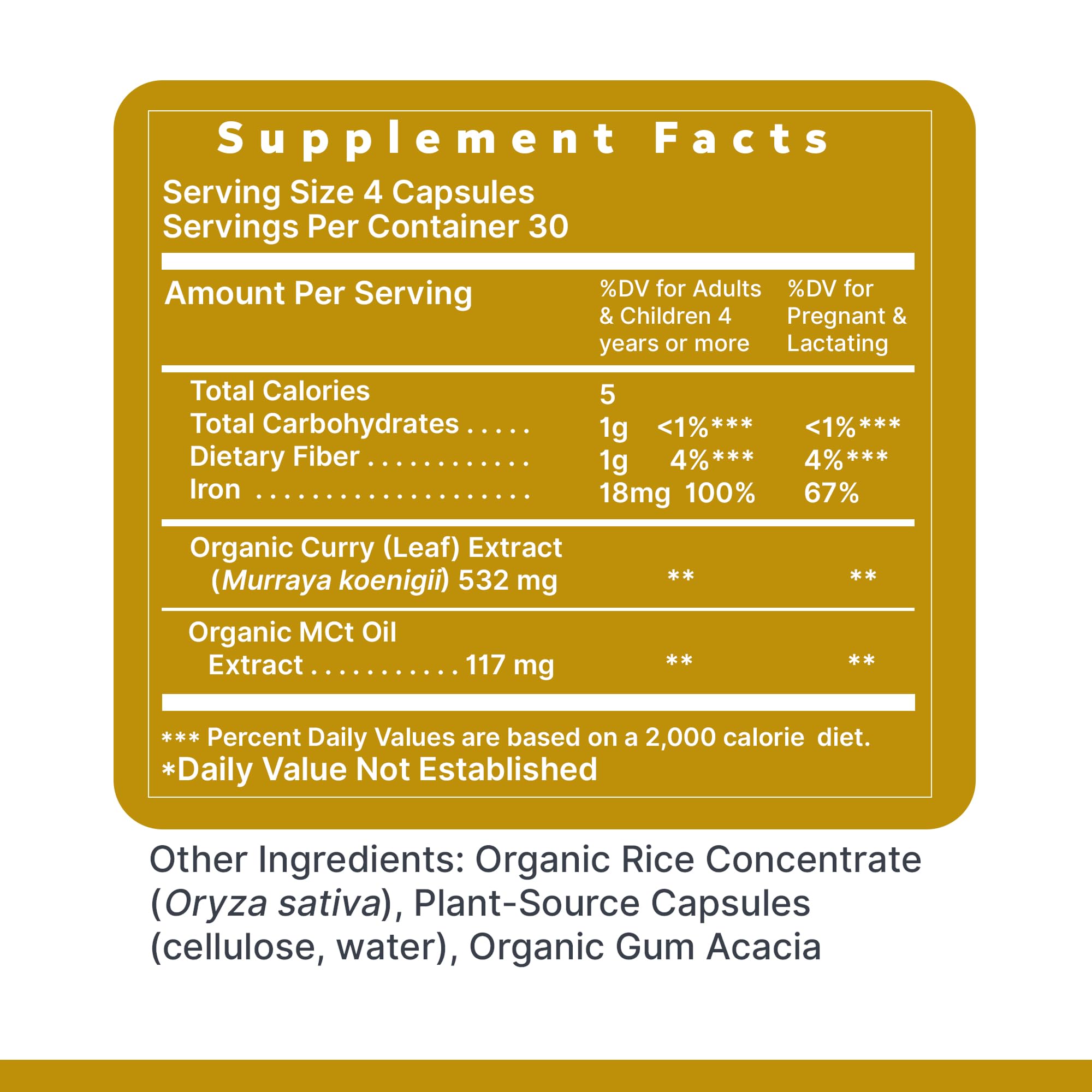 Phyto-Iron Premier Plant-Based Iron — 18 mg, 120 Capsules