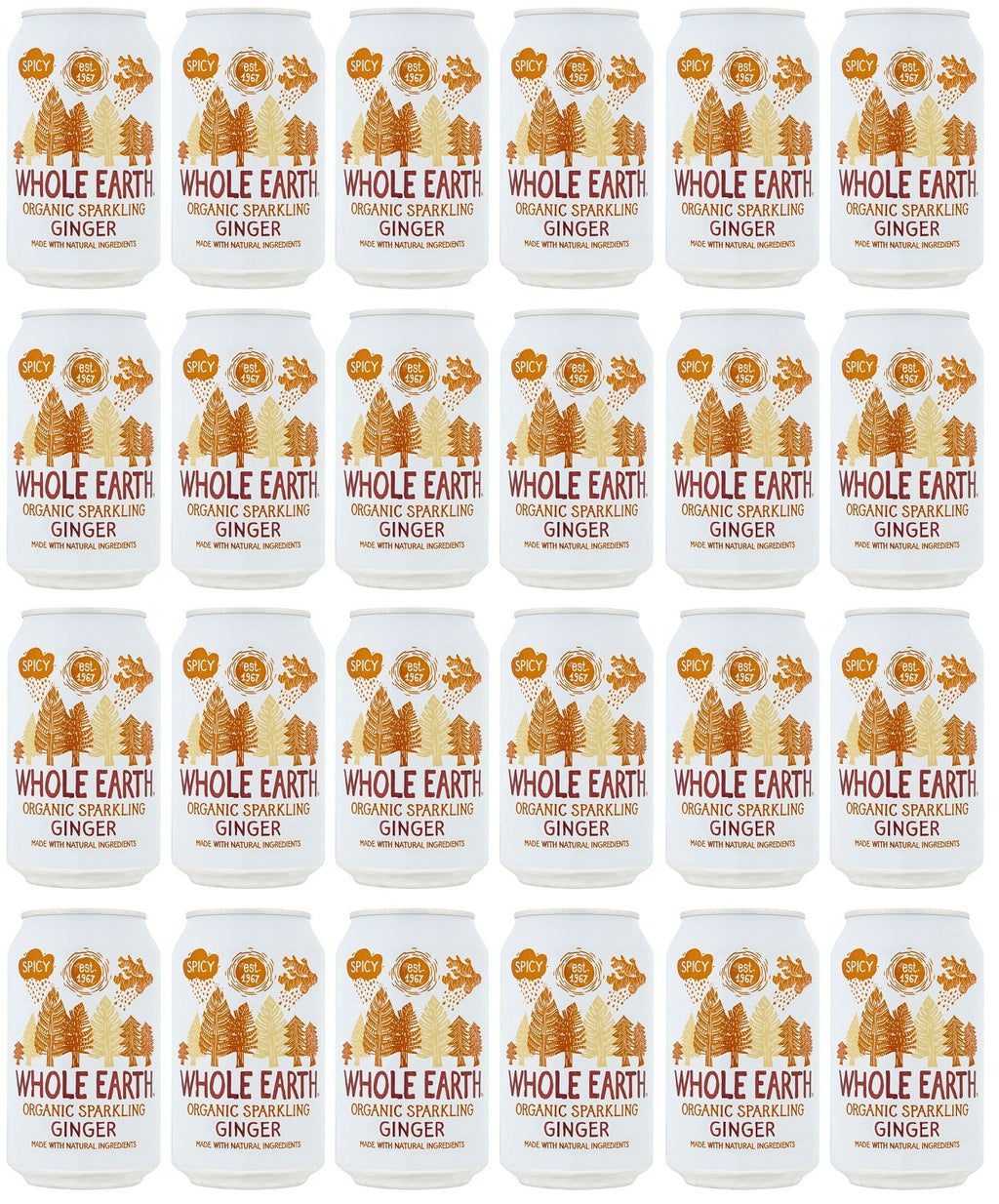 24 x Whole Earth Sparkling Ginger - 330ml