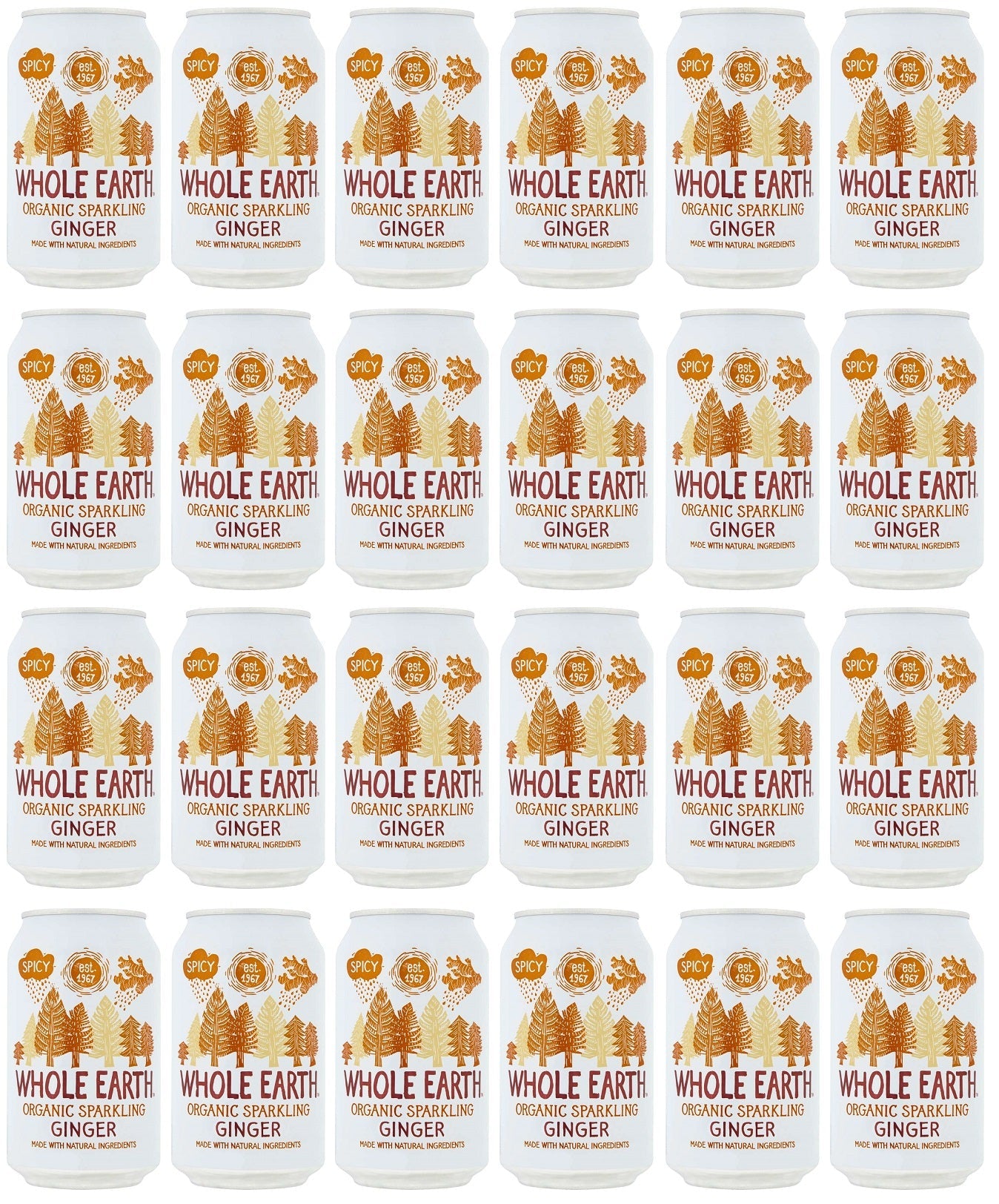 24 x Whole Earth Sparkling Ginger - 330ml