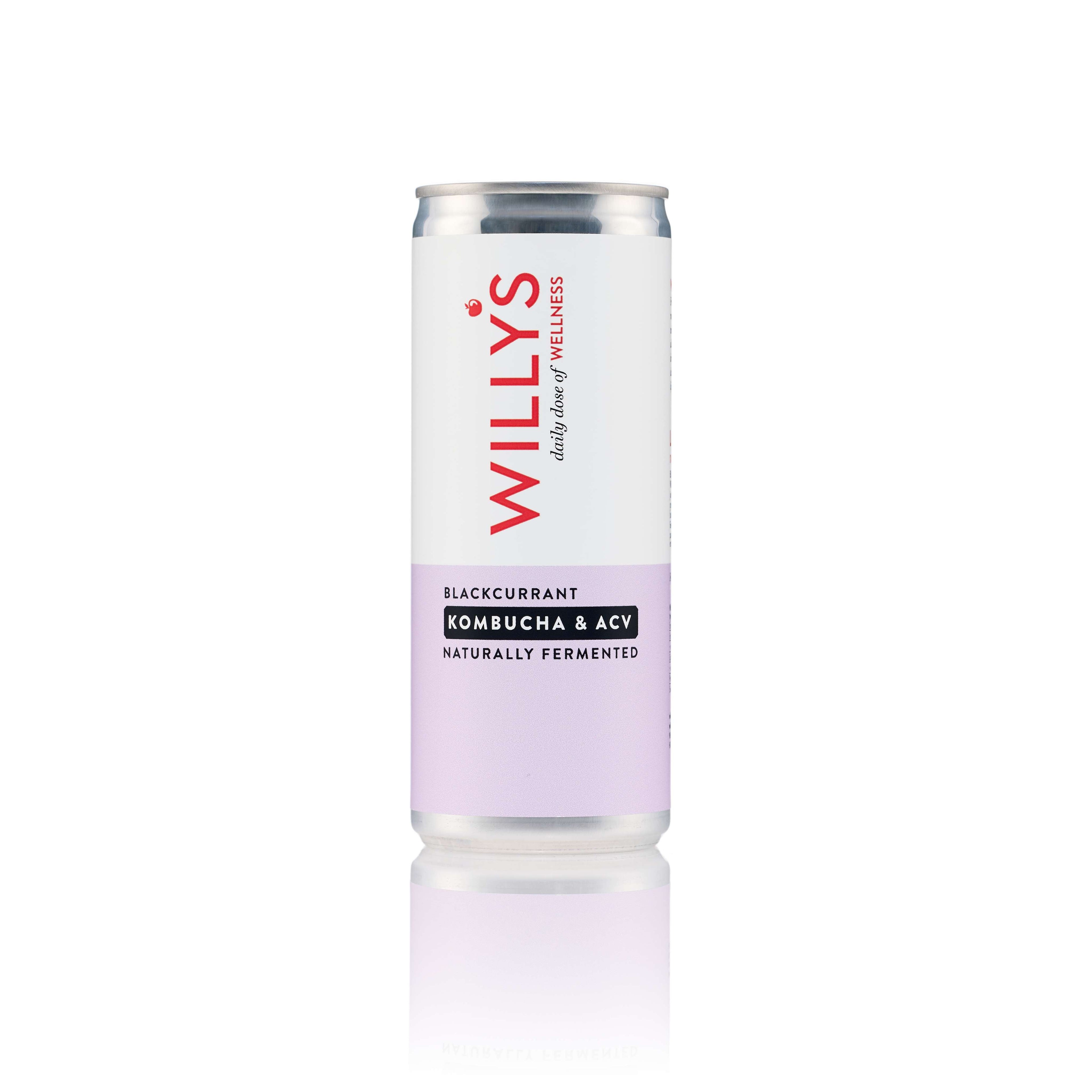 Willy's Blackcurrant Kombucha & ACV - 250ml