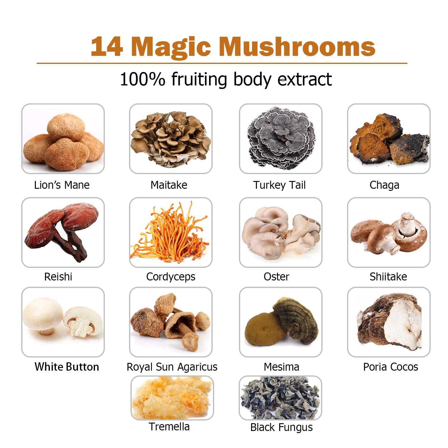 14 Mushrooms Supplement 120 Capsules – Immune Support & Nootropic (30% Beta-Glucan)