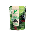 PlantLife Organic Black Mulberries - 80g