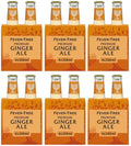 6 x Fever-Tree Premium Ginger Ale 4 X 200Ml