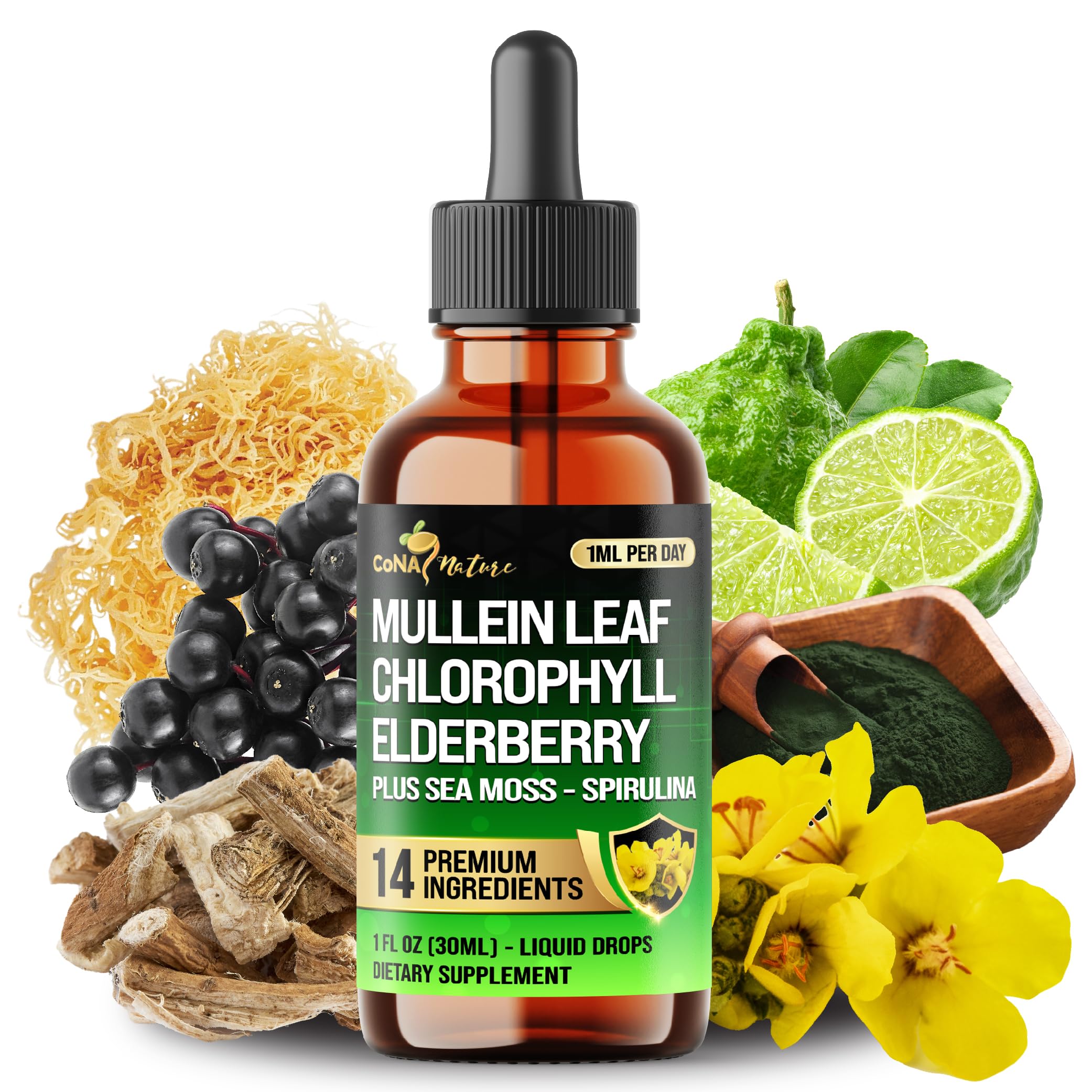 14in1 Mullein Liquid Drops – Immune & Respiratory Support, 30-Day, 1 fl oz