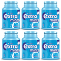 6 X Extra Mints Peppermint Bottle 70 Pc