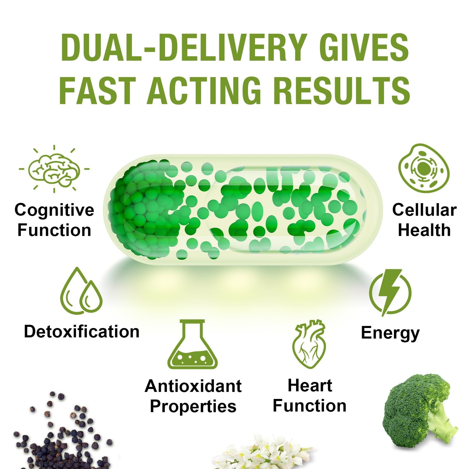 Rosmolo 800 mg Liposomal Sulforaphane | Dual-Delivery, Full-Spectrum Broccoli Extract, 180 Softgels