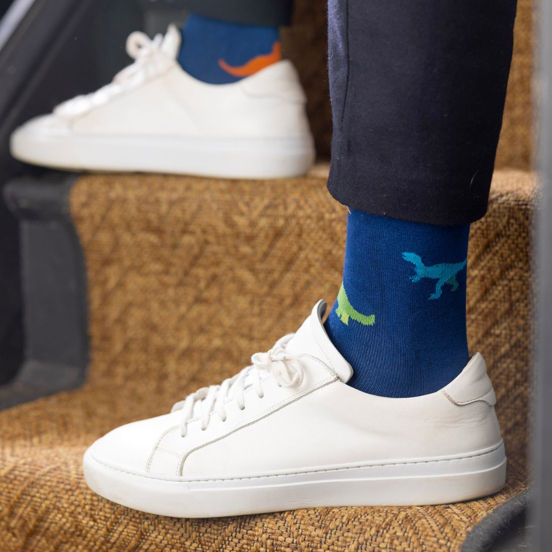 Dinosaur Bamboo Socks