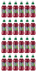 24 x Fruit Shoot Blackcurrant & Apple 275Ml