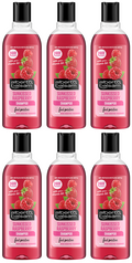 6 x Alberto Balsam Shampoo Raspberry - 300ML