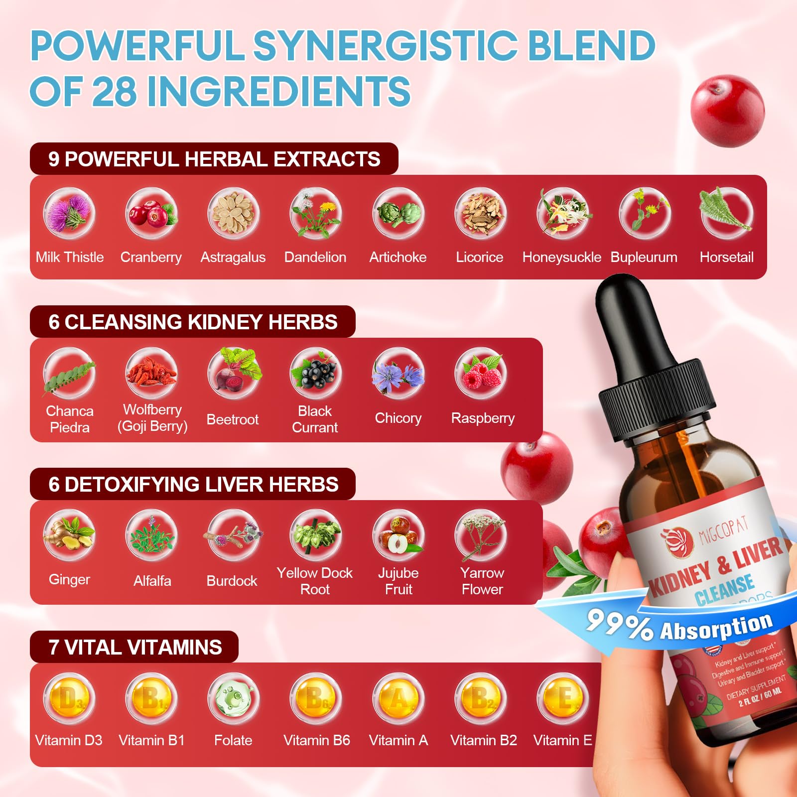 Kidney & Liver Cleanse Detox & Repair Drops – Cranberry, Milk Thistle & Artichoke (60ml) | Natural Herbal Supplement