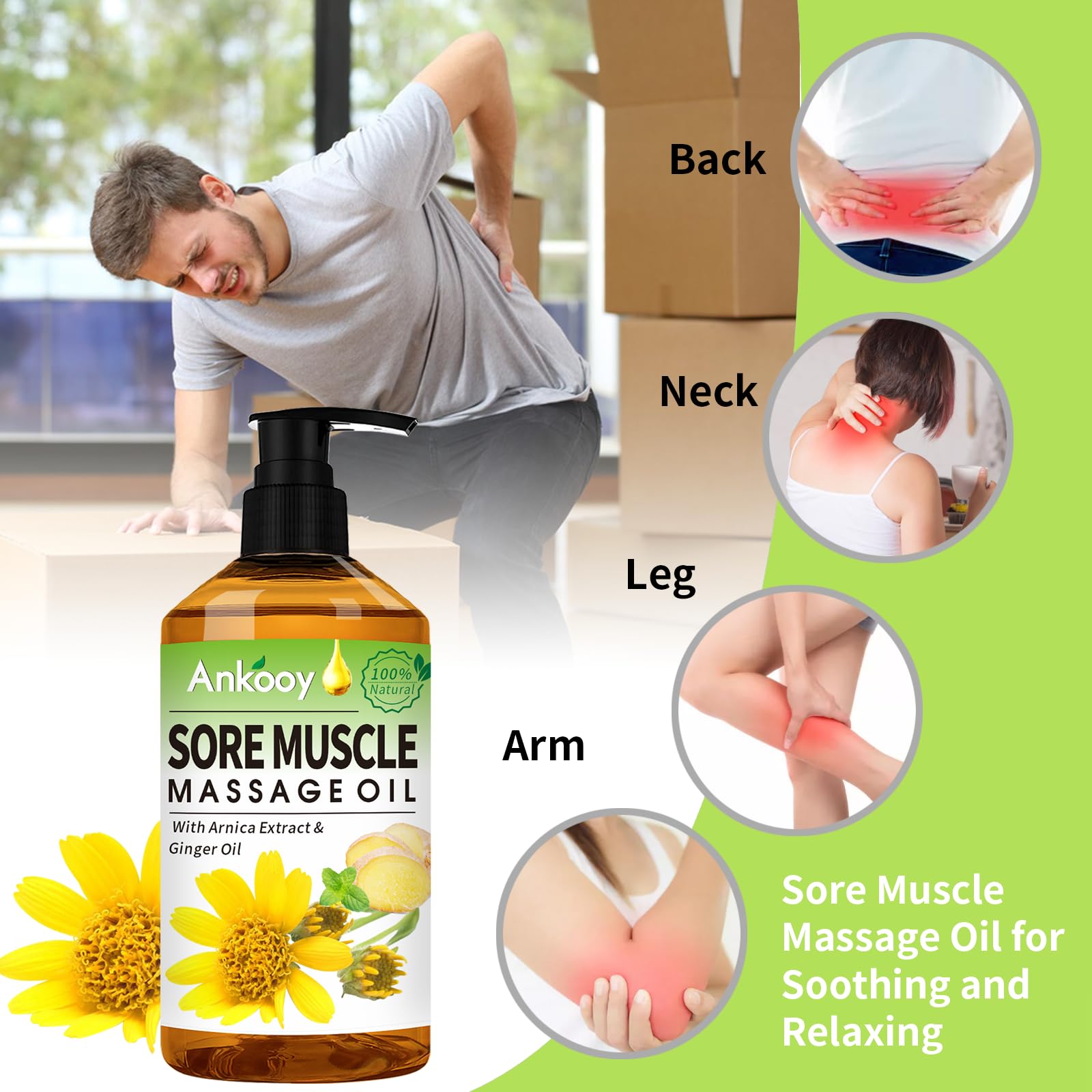 3 Pack Massage Oil for Sore Muscles – Arnica, Ginger & Lavender | Spa Gift
