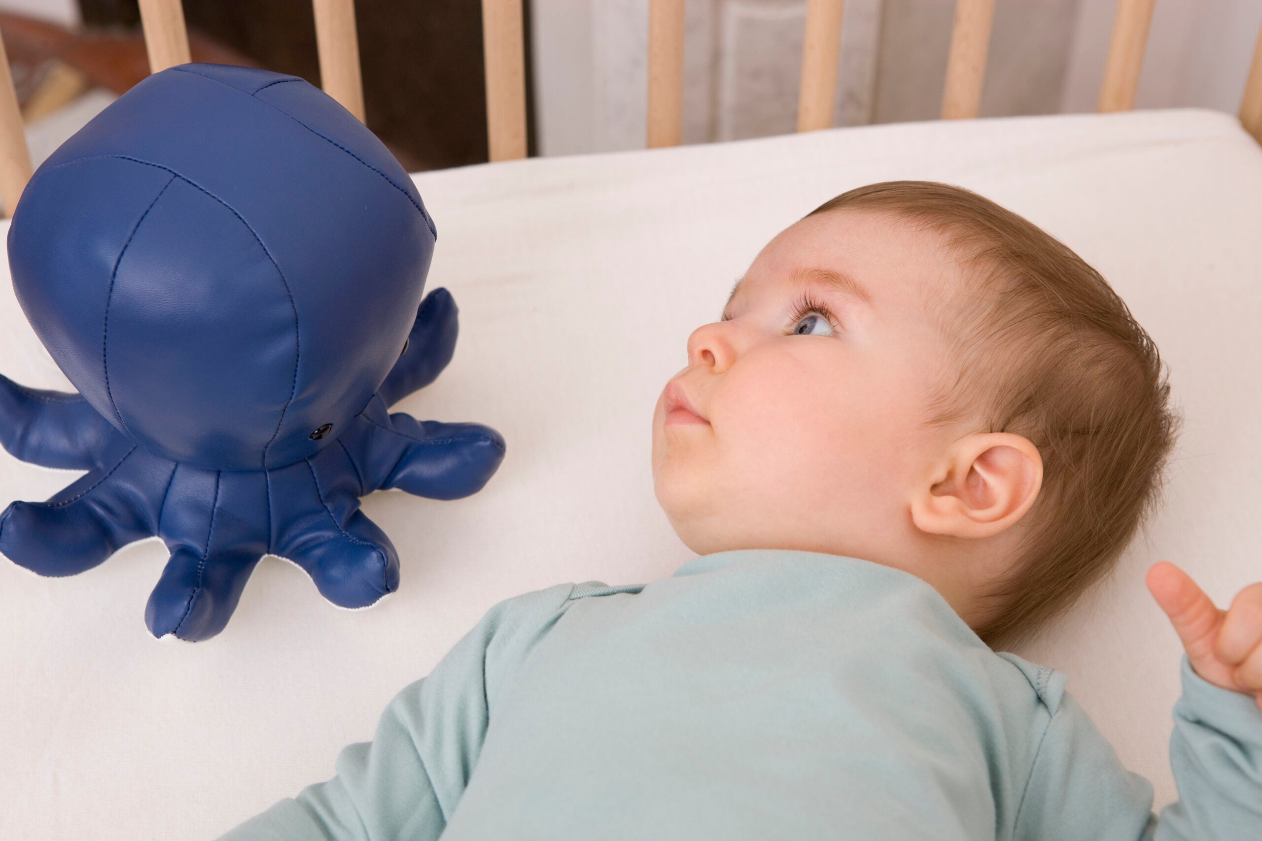 Little Big Friends: Sea Collection Pull-String Musical Animal Toy - Octave the Octopus