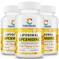 CORPORALIGHT 30mg Spermidine Supplement – High Absorption Liposome Delivery, Fermented Wheat Germ Extract, 180 Softgels
