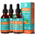 3Pack Sea Moss Drops – Irish Sea Moss Chlorophyll Liquid with Black Seed Oil & Immune Support
