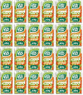 24 x Tic Tac Lime & Orange 49G