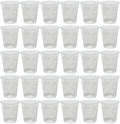 30 x 2Cl Shot Glasses (30X40)