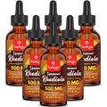 Santegra 57,000mg Liposomal Rhodiola Rosea with Ashwagandha — 360ml Liquid