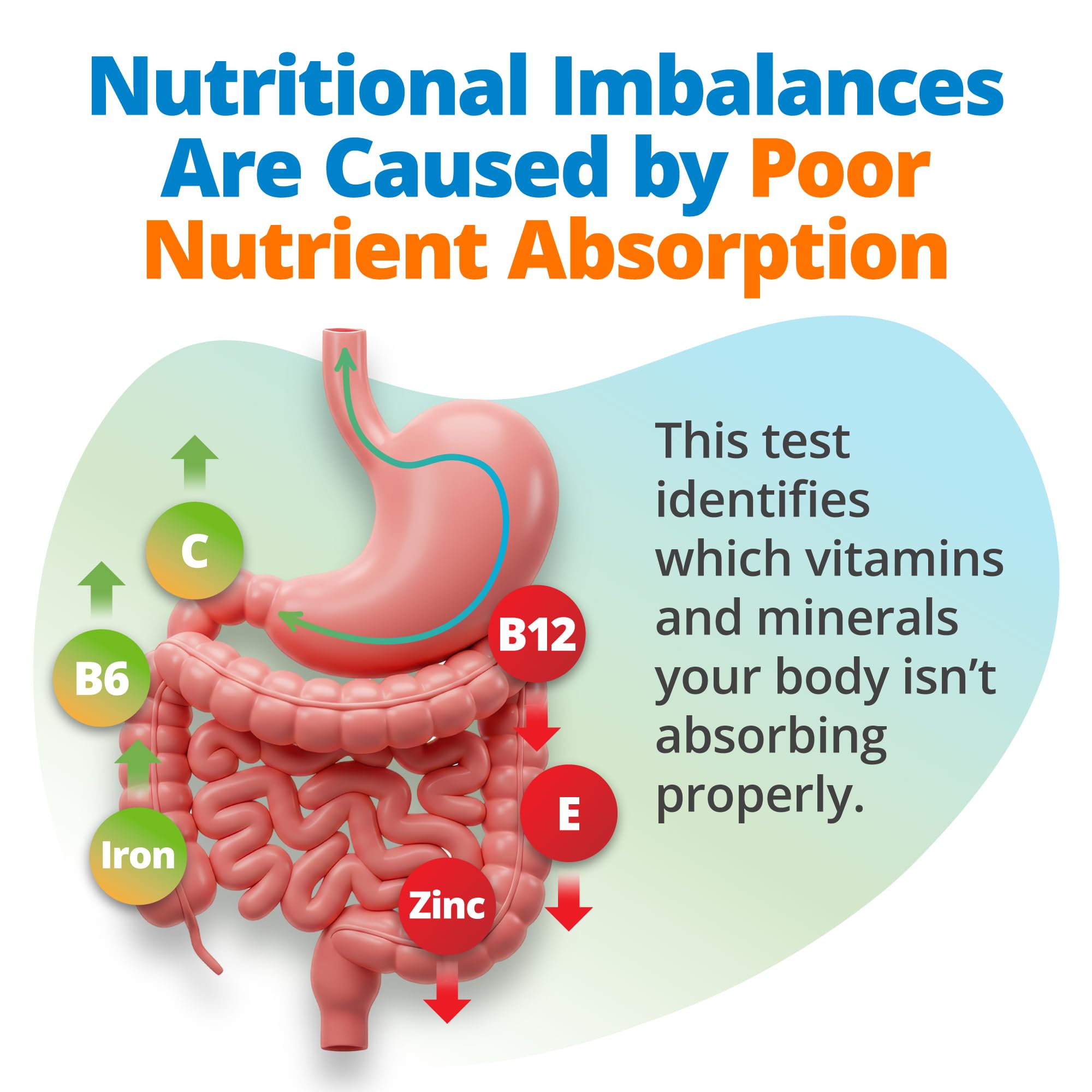 5Strands Nutrition Test – 112 Vitamins & Minerals | At-Home Hair Analysis | 4-Day Results