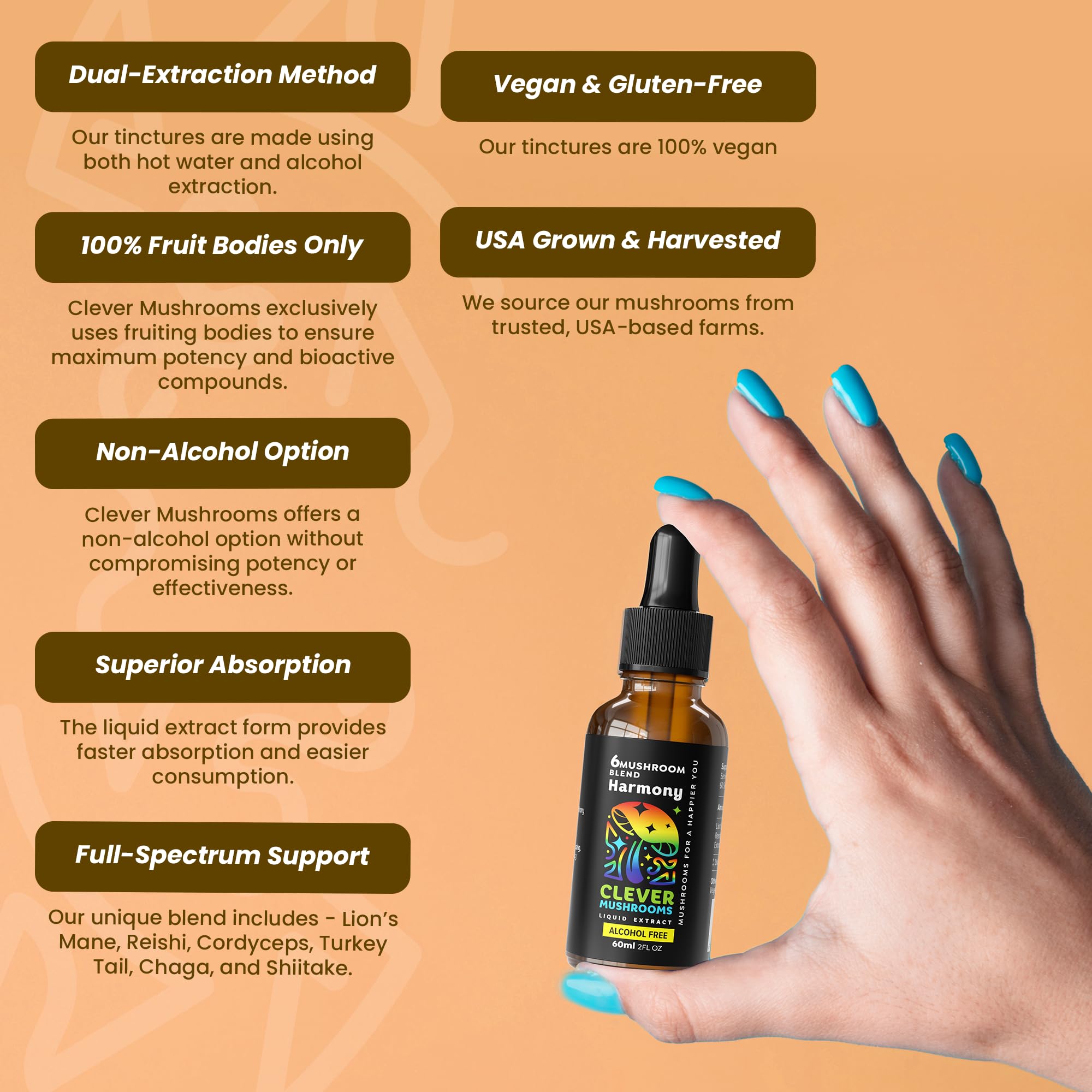 6 Blend Mushroom Liquid Extract – Alcohol-Free, US-Grown (1 fl oz)