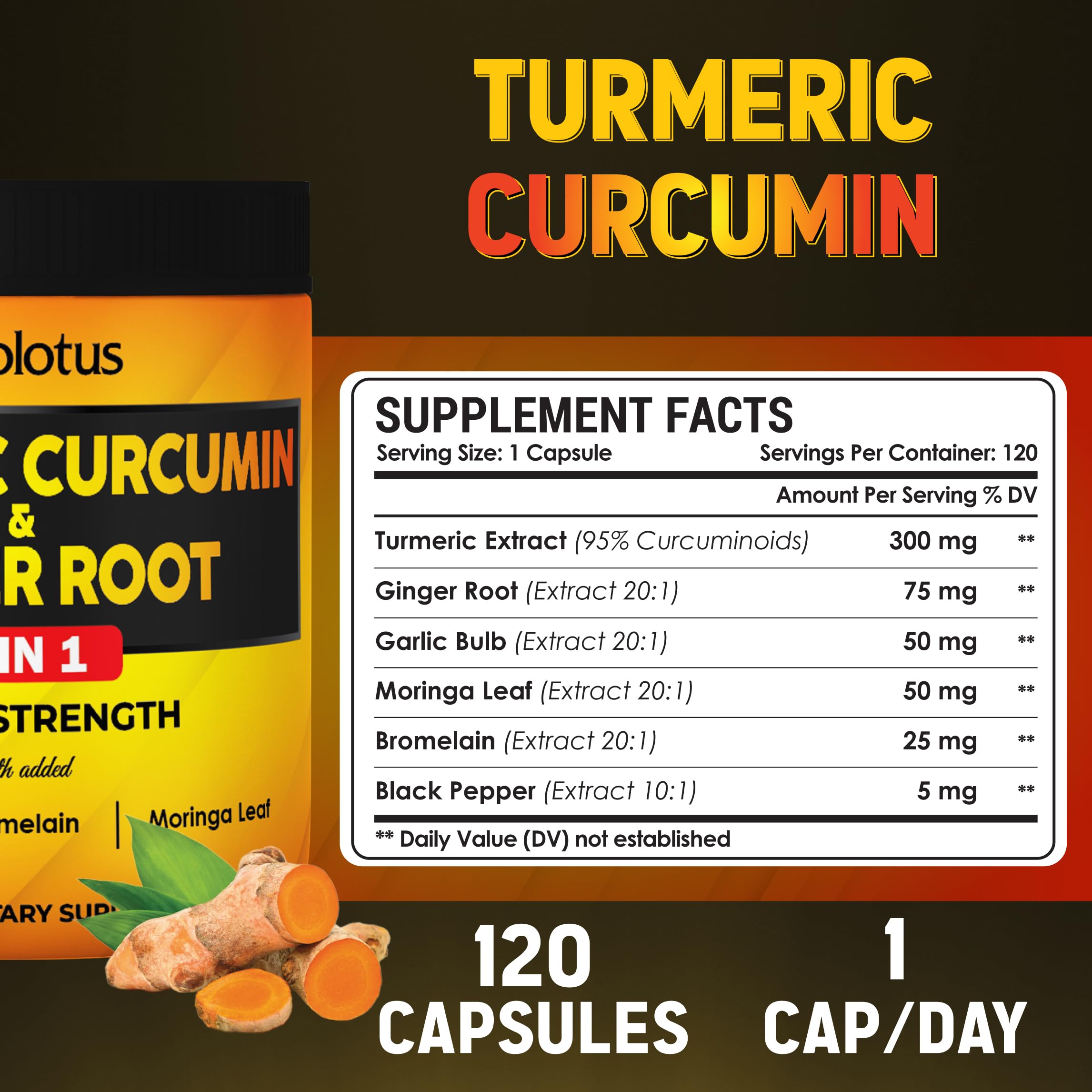 6 in 1 Turmeric Curcumin + Ginger Capsules - 95% Curcuminoids, Black Pepper | 120 Capsules