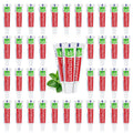 60 Tubes Travel Size Toothpaste Bulk Pack – Mint, 0.17 oz, Disposable
