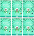 6 x English Tea Shop Perfect Peppermint - 20Bags