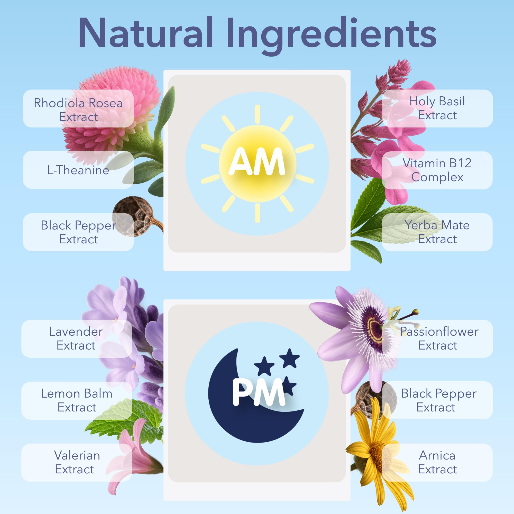 Jet Lag AM & PM Travel Patches – Natural Energy, Focus & Restful Sleep (8 Topical Patches)