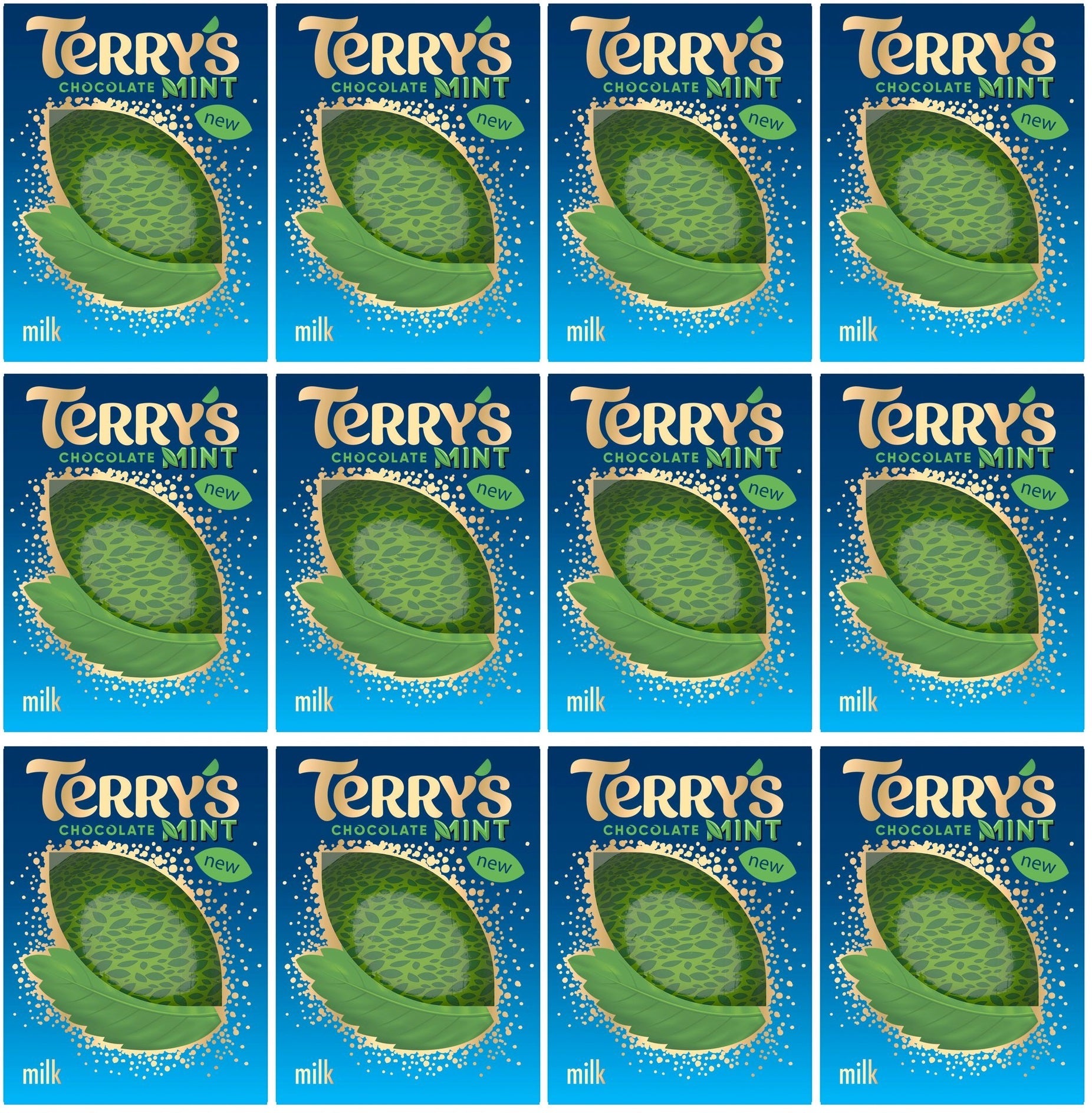 12 x Terry's Chocolate Mint Milk 145G