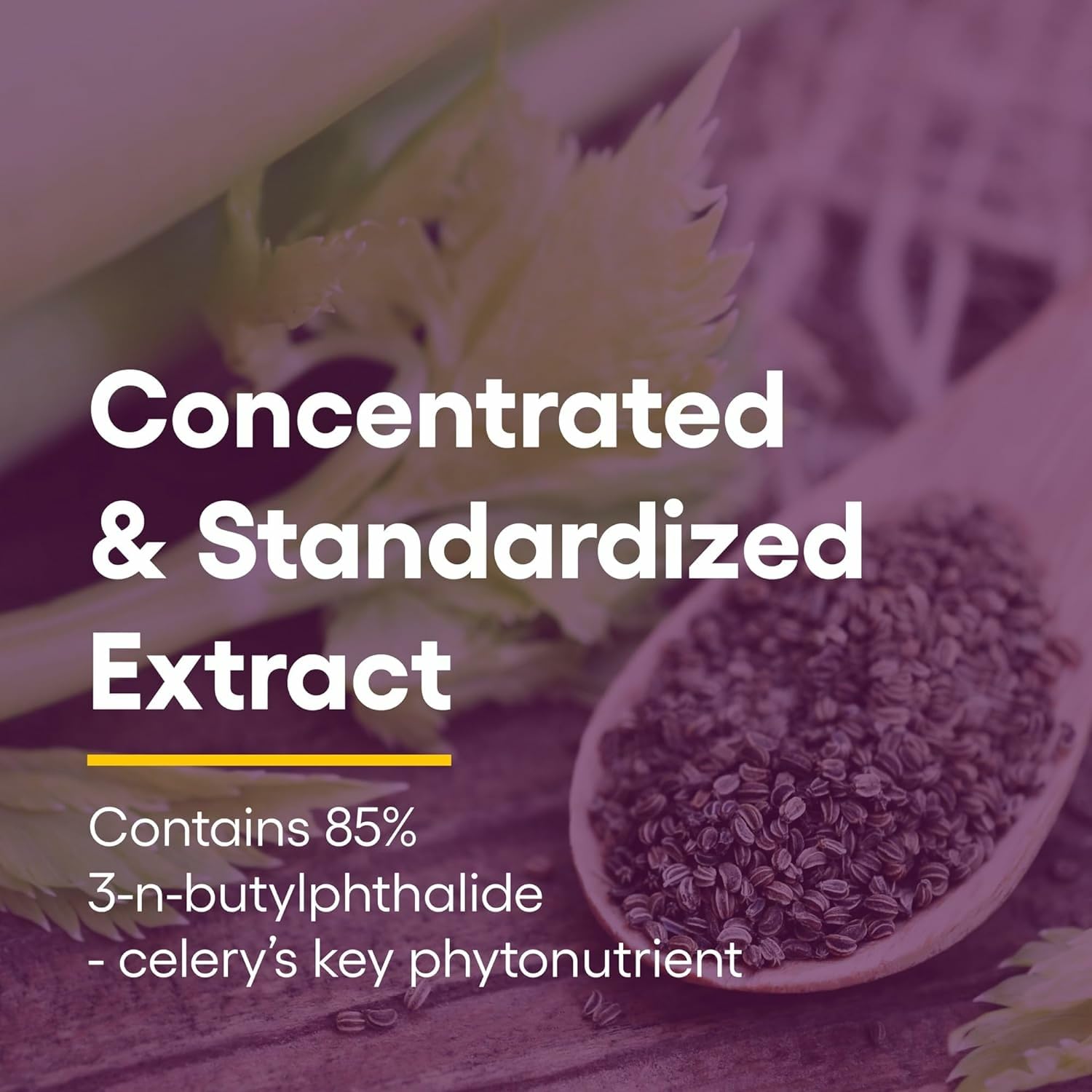 Natural Factors Celery Seed Extract: Concentrated Celery Seed for Healthy Circulation & Heart Support