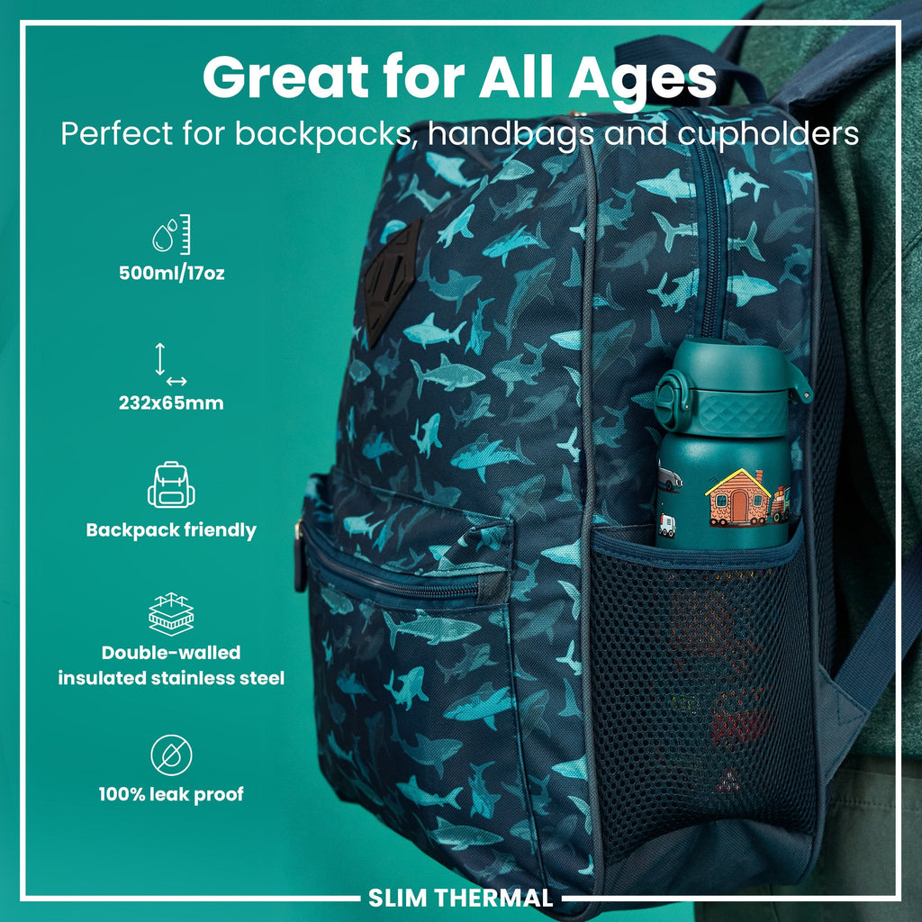 Leak Proof Slim Thermal Steel Water Bottle, Insulated, Automobiles, 500ml (17oz)