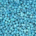 Blue Raspberry Pips