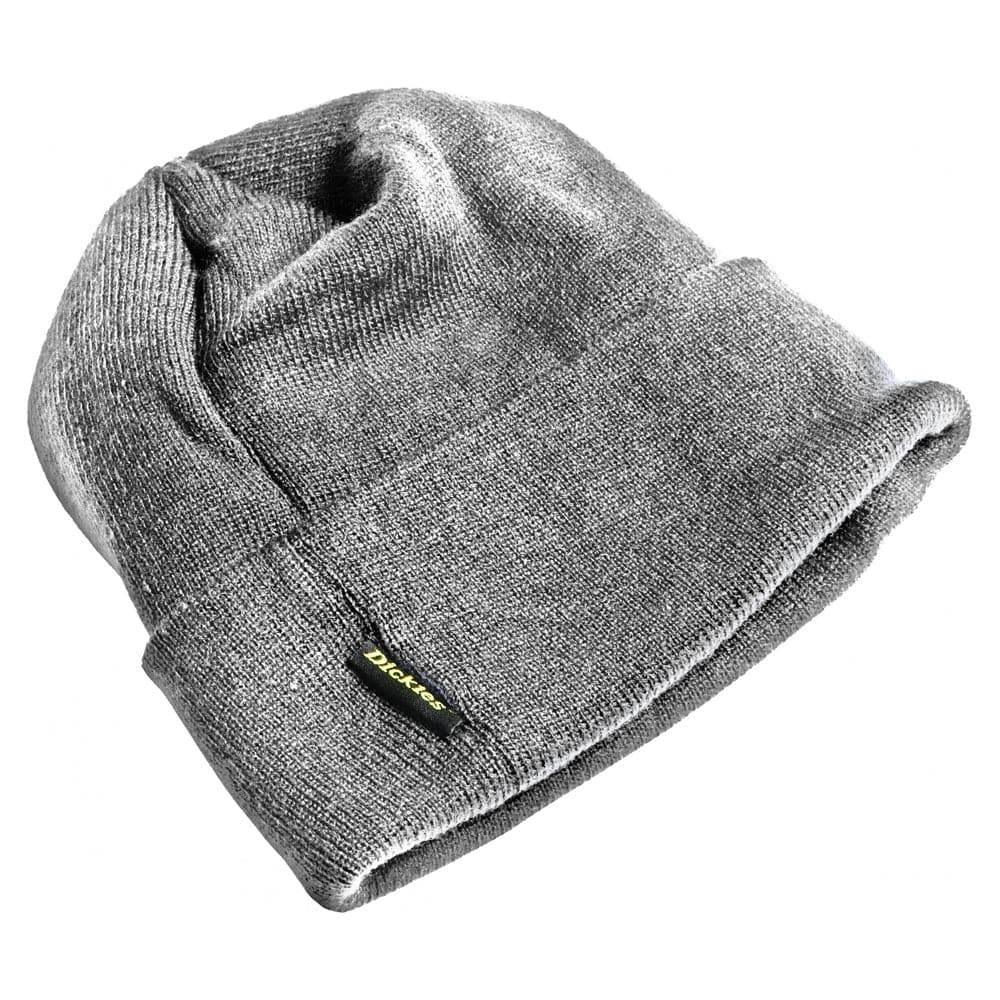 Dickies Thinsulate Watch Hat HA180
