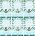 6 x English Tea Shop Pure White Tea - 20Bags