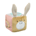 Rainbow Designs Guess How Much I Love You Activity Cube