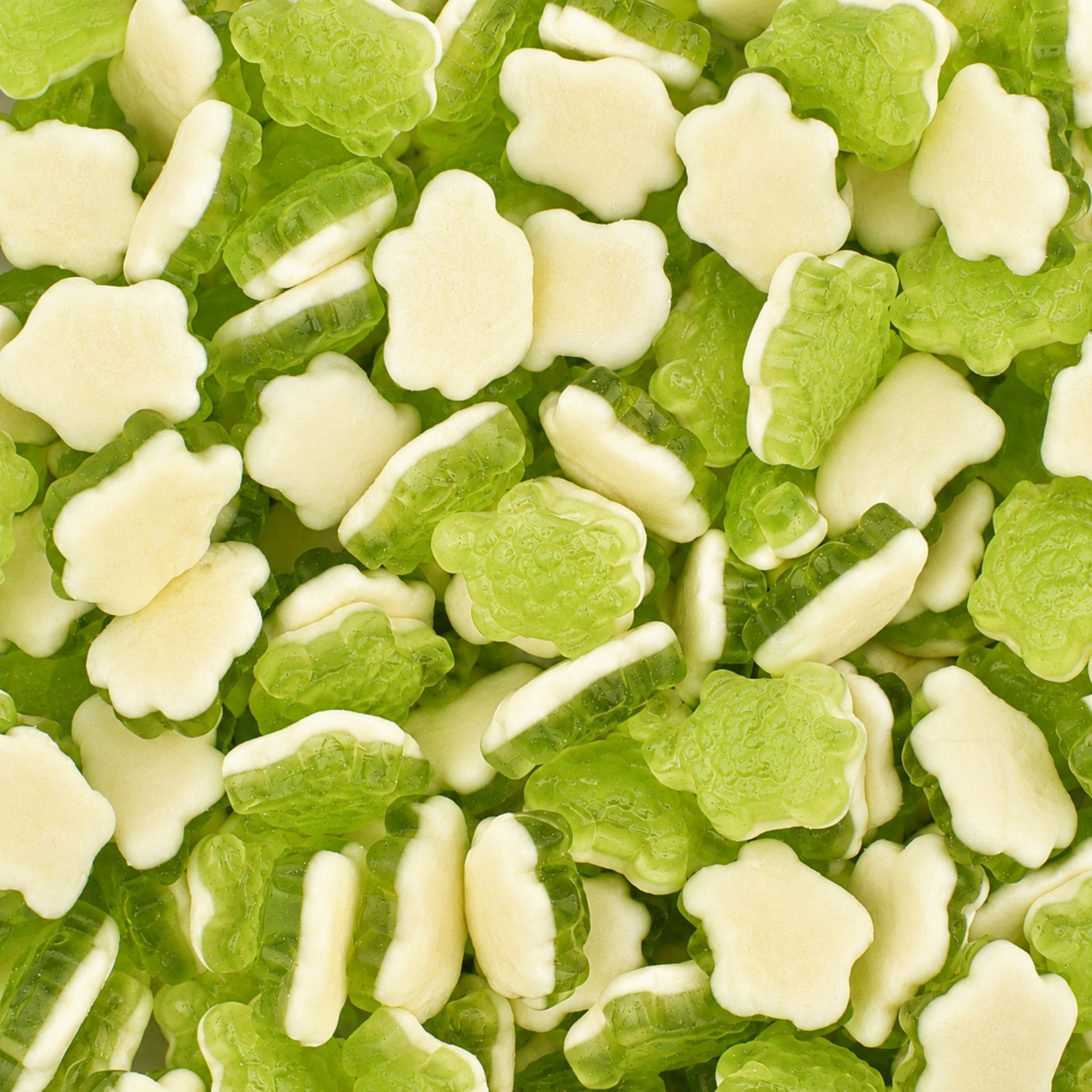 Green Turtle Bubblegum Sweets