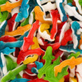 Jelly Sharks