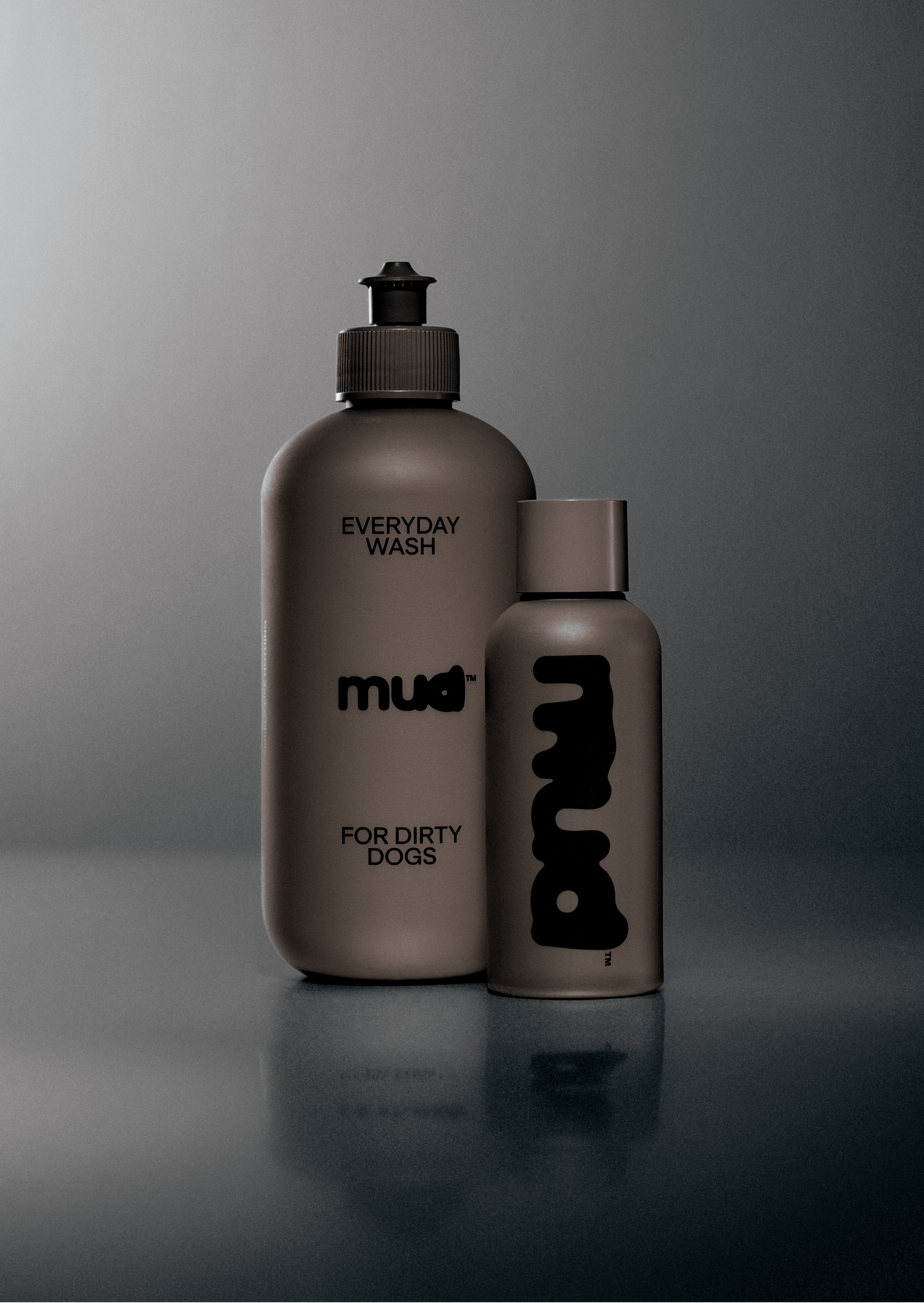 Everyday Wash for Dirty Dogs 400ml