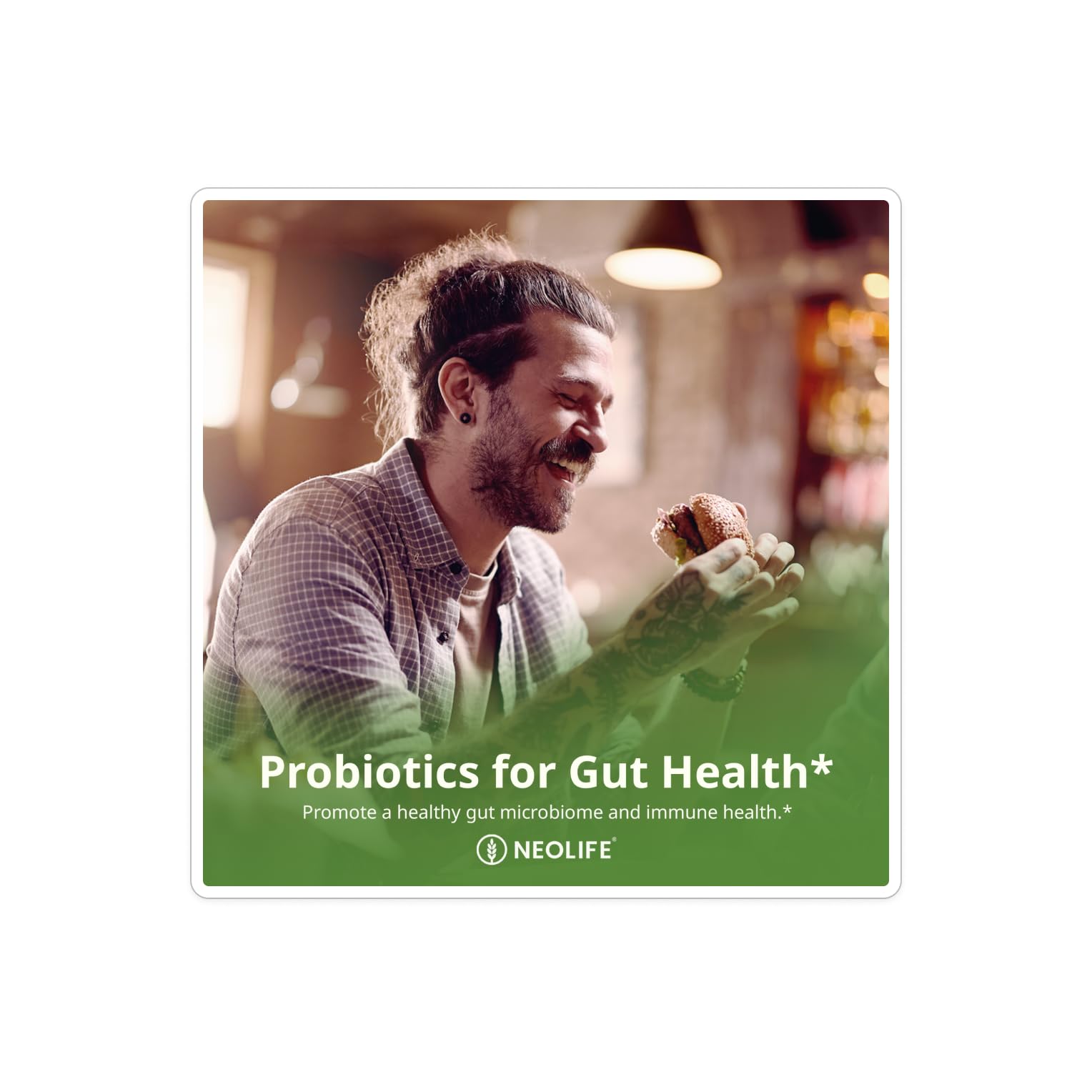 NeoLife Acidophilus Plus Probiotic – 5 Billion CFU, Digestive Health, 60 Capsules
