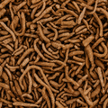 Sweet Tobacco (Spanish Gold)