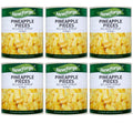 6 x Newforge Pineapple Slices In Light Syrup 3.05Kg