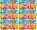 6 x Sunny South Fruit Pots - Fruit Mix In Fruit Juice