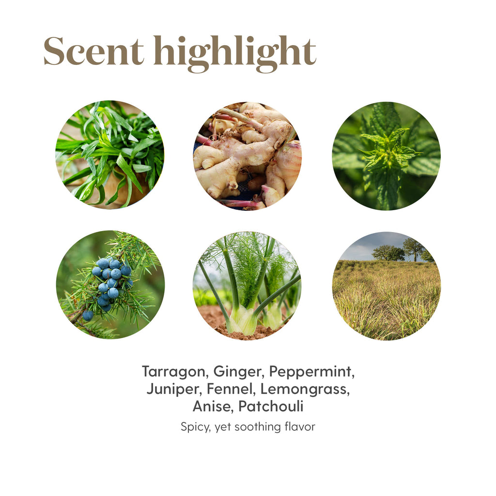 Vitality DiGize 5ml – Digestive Support | Young Living Essential Oils
