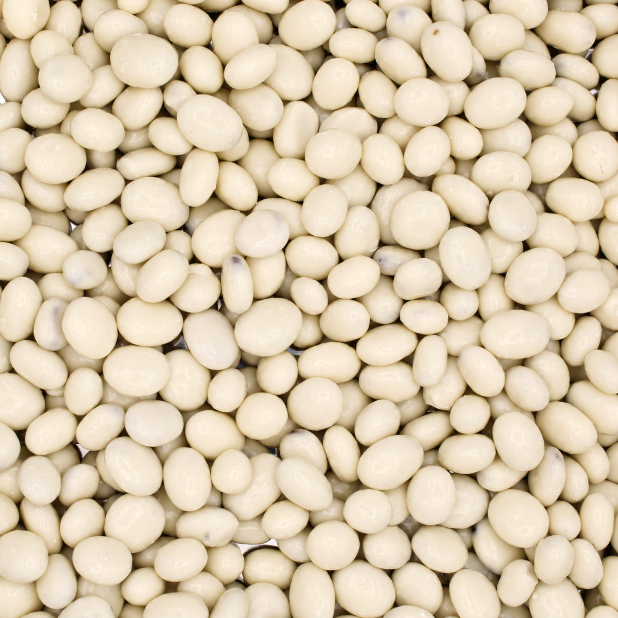 Yogurt Raisins
